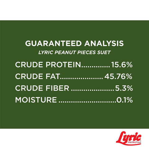 Lyric Seed and suet feeder combo supports year-round feeding