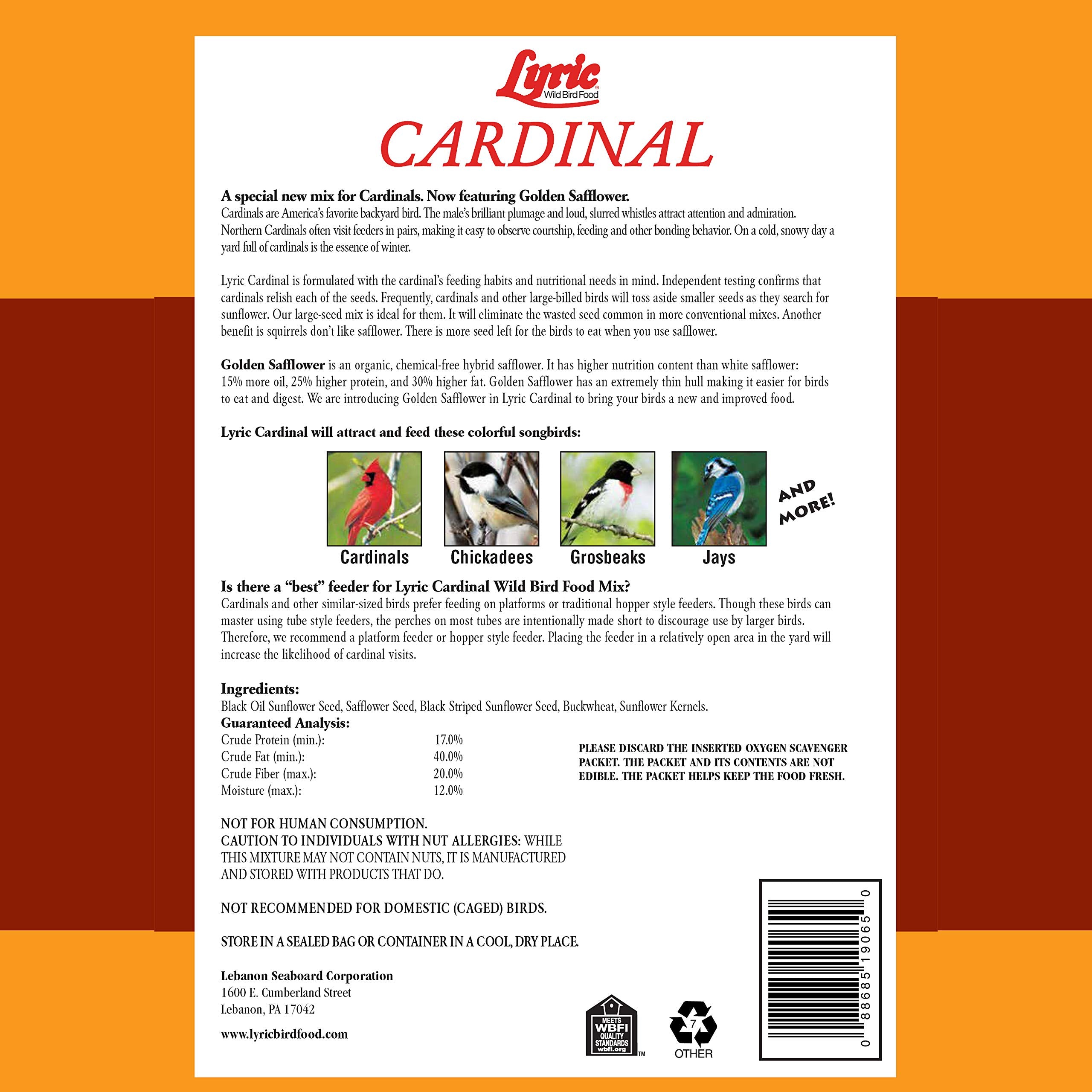 Lyric seed mix close-up highlighting sunflower and safflower components.