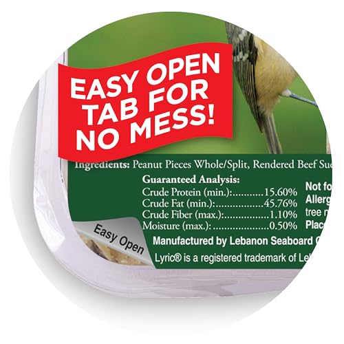 Lyric Shelled peanuts closeup highlights energy-rich ingredients for birds