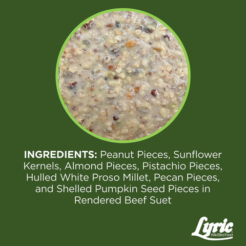 Lyric Fine Tunes suet cake feeder compatibility for easy setup