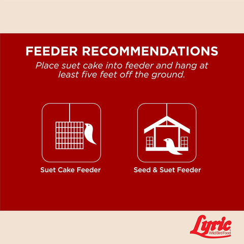 Lyric suet cake sealed packaging maintains freshness for feeding
