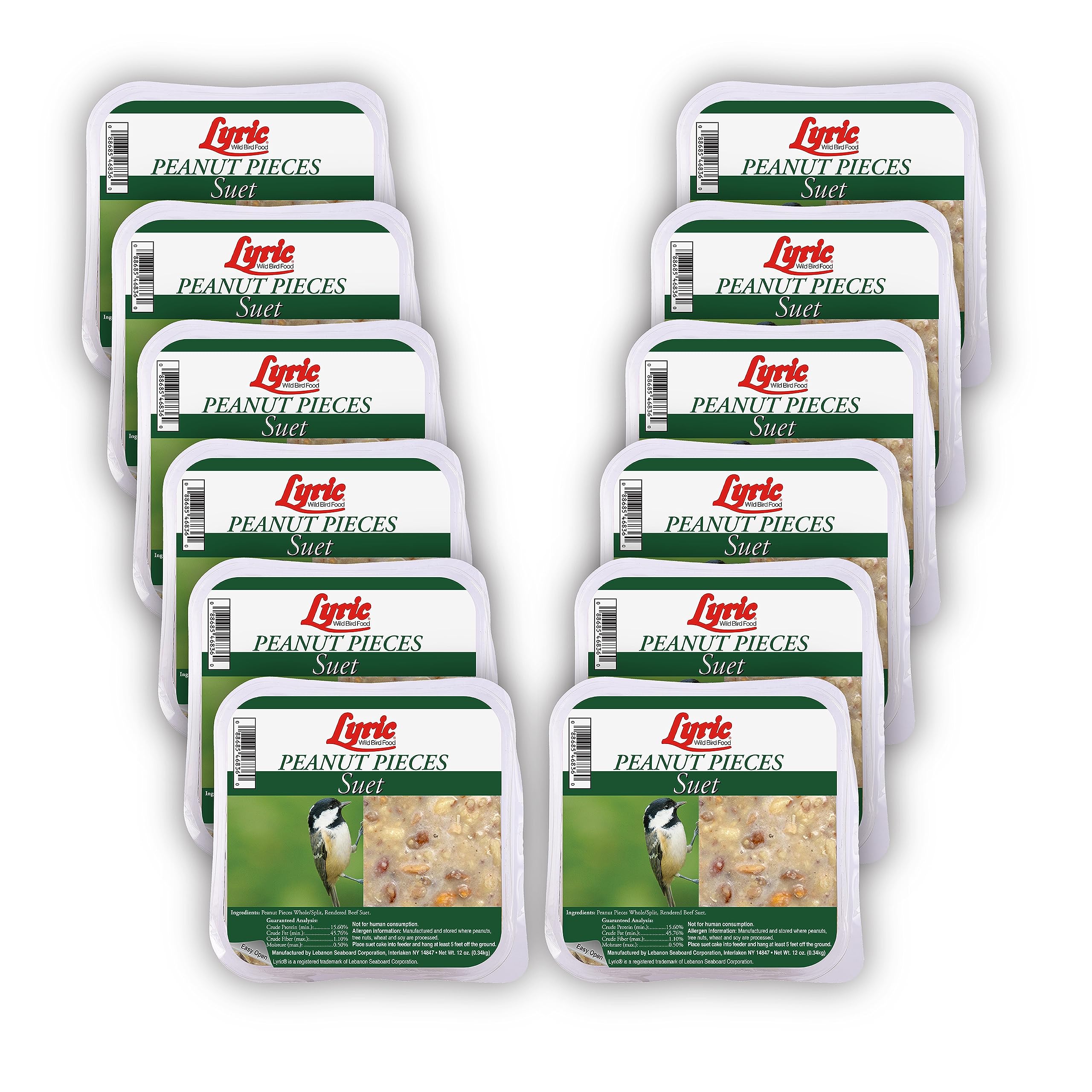 Lyric Suet feeder setup showcases mess-free, easy-fill feeding
