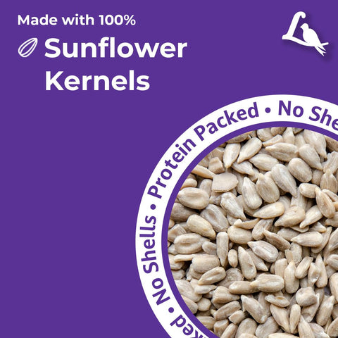 Lyric kernels designed for tube and hopper feeders with easy placement.