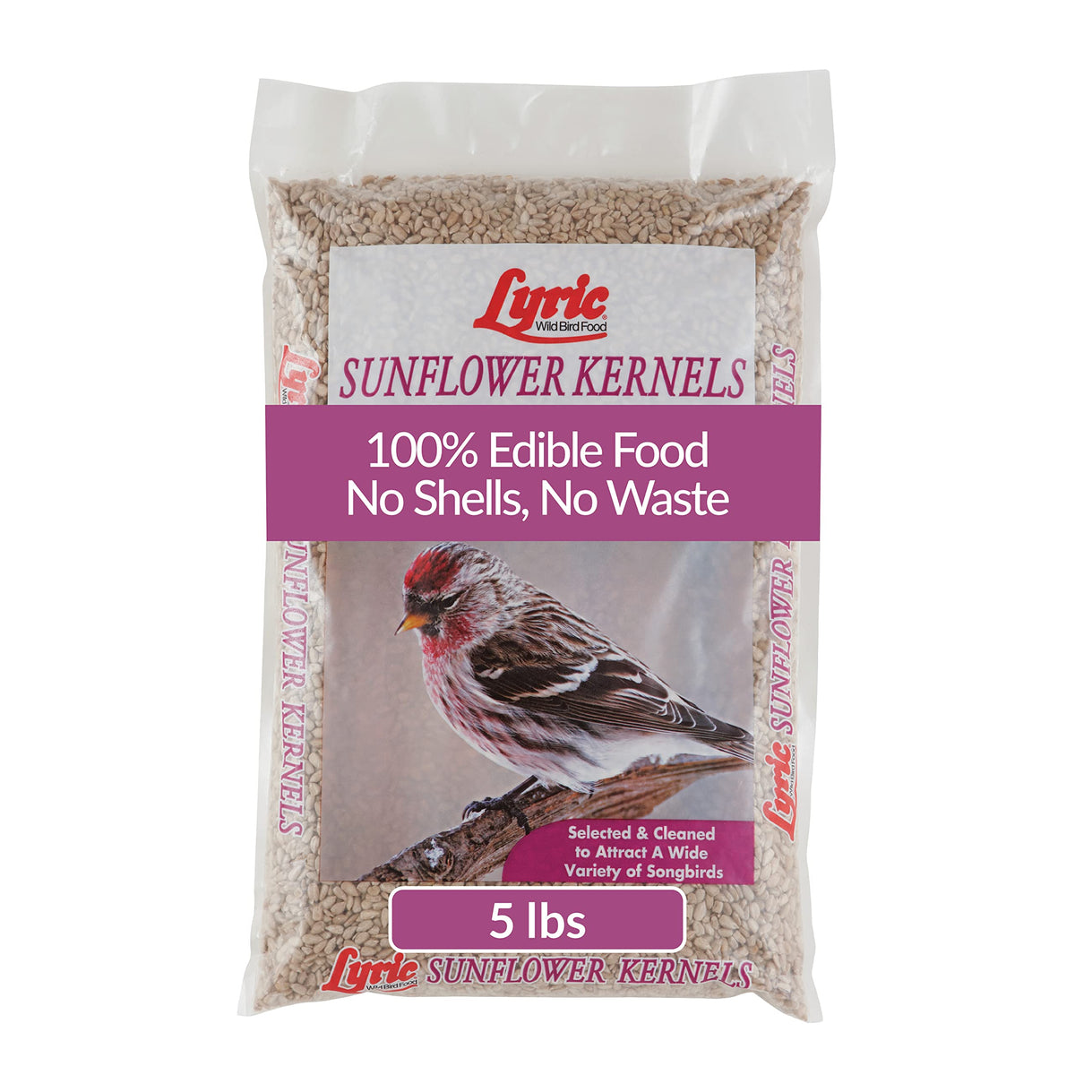 Lyric Sunflower Kernels for outdoor feeders attract songbirds in the backyard.