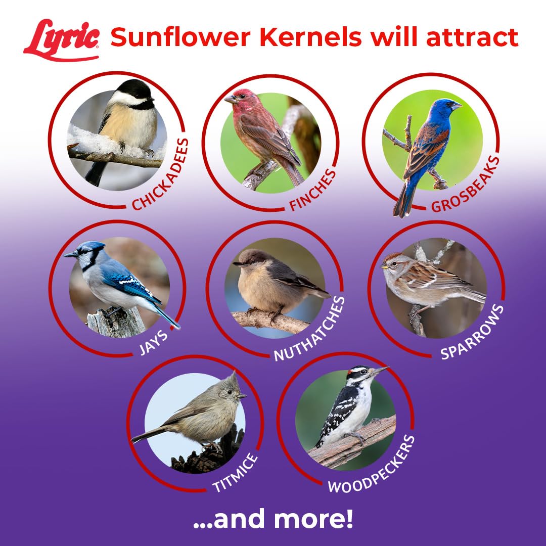 Lyric Sunflower Kernels stay fresh thanks to oxygen-scavenger packaging.