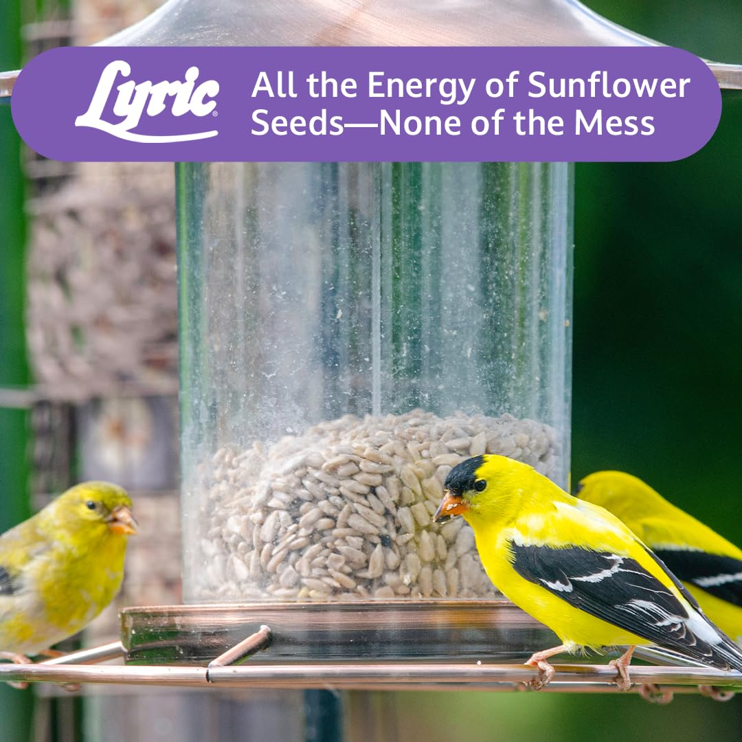 Lyric Sunflower Kernels provide high-protein, high-fat nourishment for wild birds.