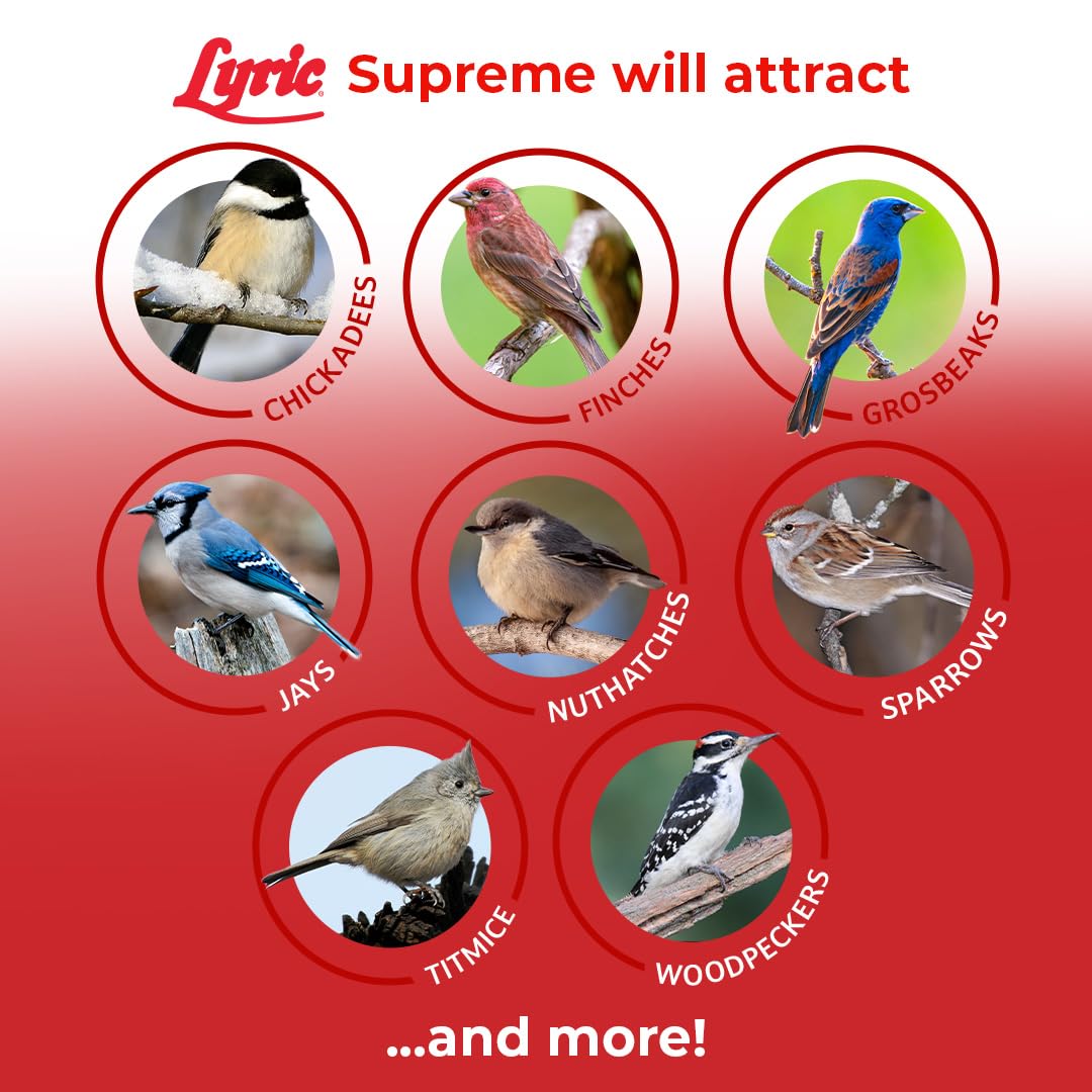 Lyric Supreme attracts chickadees, finches, and woodpeckers to feeders