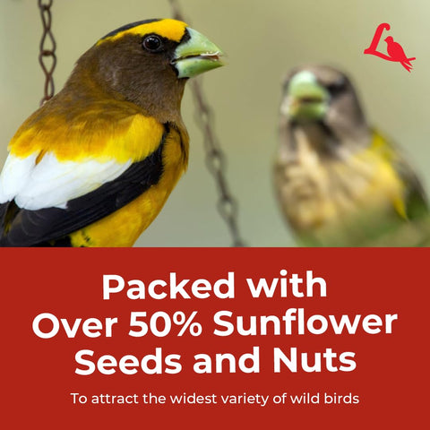 Lyric Supreme seed blend supports natural foraging for several species