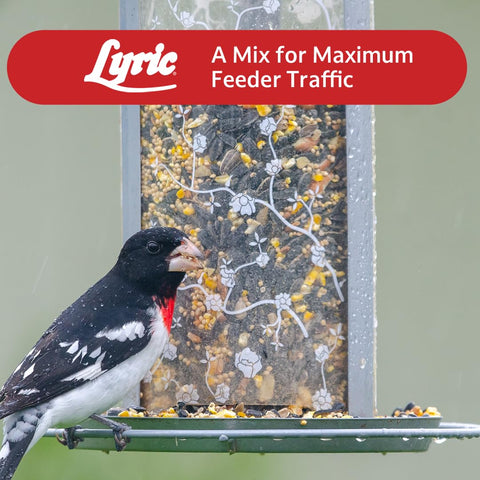 Lyric Supreme nut-rich mix includes peanuts and pistachios for energy