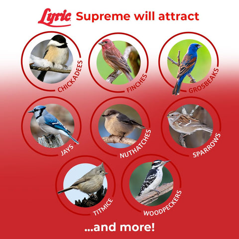 Lyric Supreme Wild Bird Seed millet and canary seeds add variety