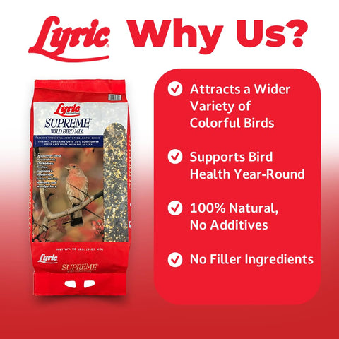 Lyric Supreme Wild Bird Seed nuts and peanuts highlight protein bites