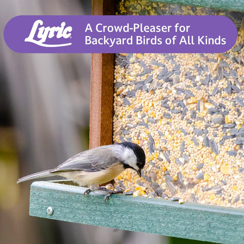 Lyric Wild Bird Mix 40 lb bag ready for extended outdoor feeding.