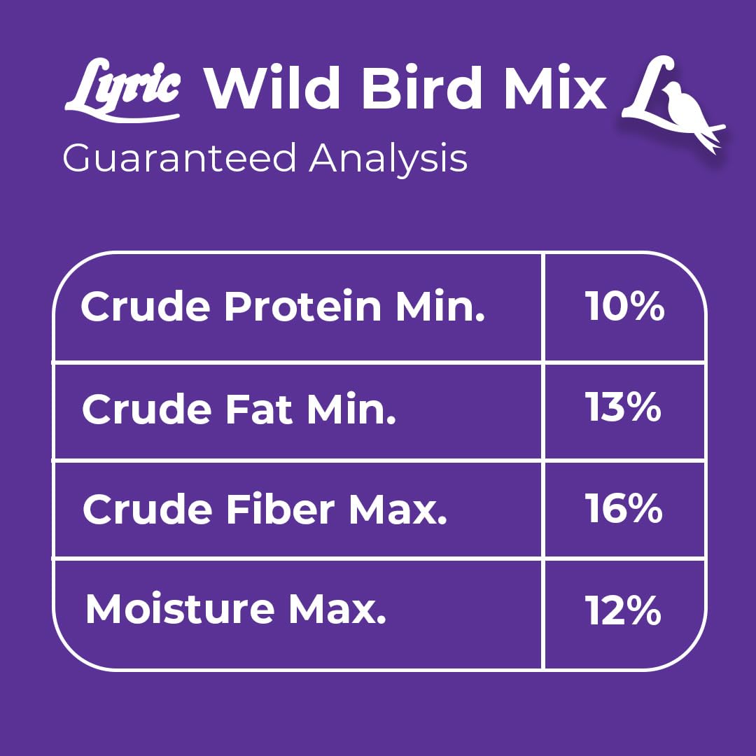 Lyric Wild Bird Mix on a backyard scene invites family-friendly birdwatching.