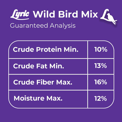 Lyric Wild Bird Mix on a backyard scene invites family-friendly birdwatching.