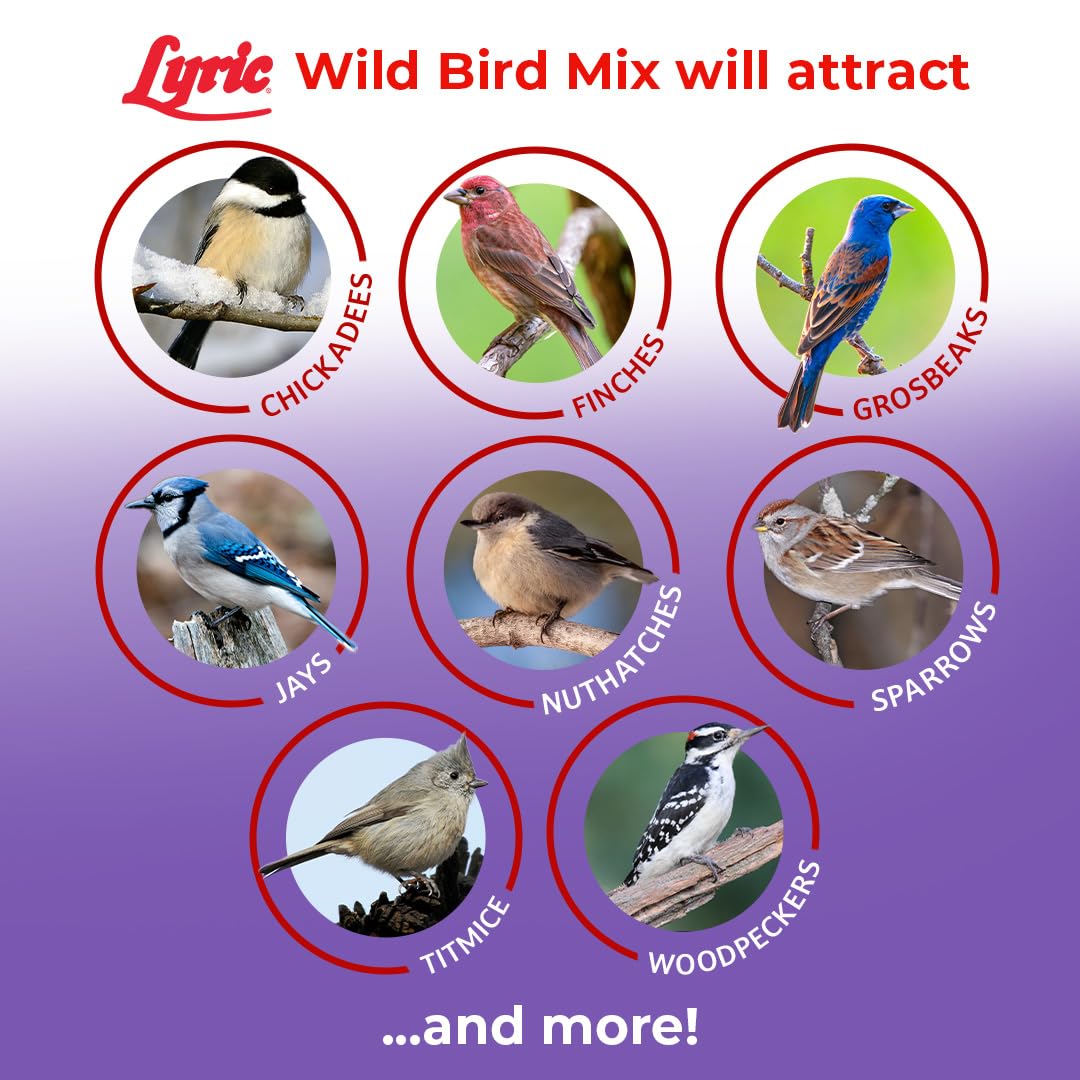 Lyric Wild Bird Mix with black oil sunflower seeds encourages vivid, energetic bird visits.