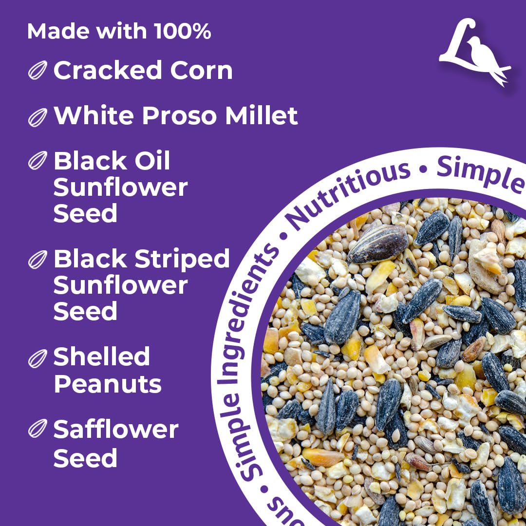 Lyric Wild Bird Mix with black-striped sunflower seeds boosts daily activity at feeders.