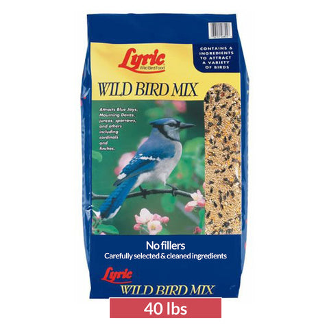 Lyric Wild Bird Mix with cracked corn fuels backyard foraging for diverse songbirds.