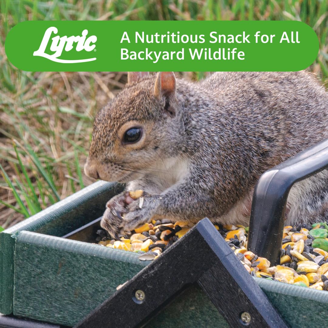 Lyric Wildlife Food biodiversity-scene captures diverse yard visitors.