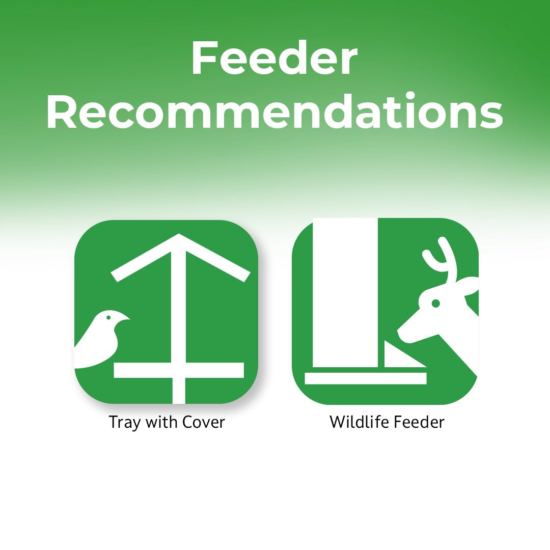 Lyric Wildlife Food peanuts-closeup highlights protein-rich snack for critters.