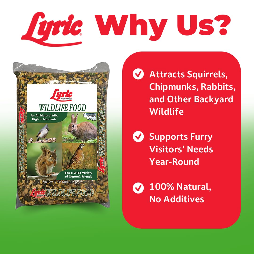 Lyric Wildlife Food squirrel-action shows squirrels enjoying seeds and corn.