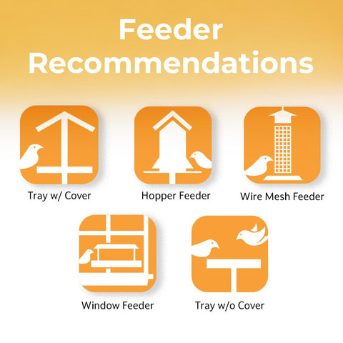 Lyric window feeder filled with premium seed mix for easy observation.