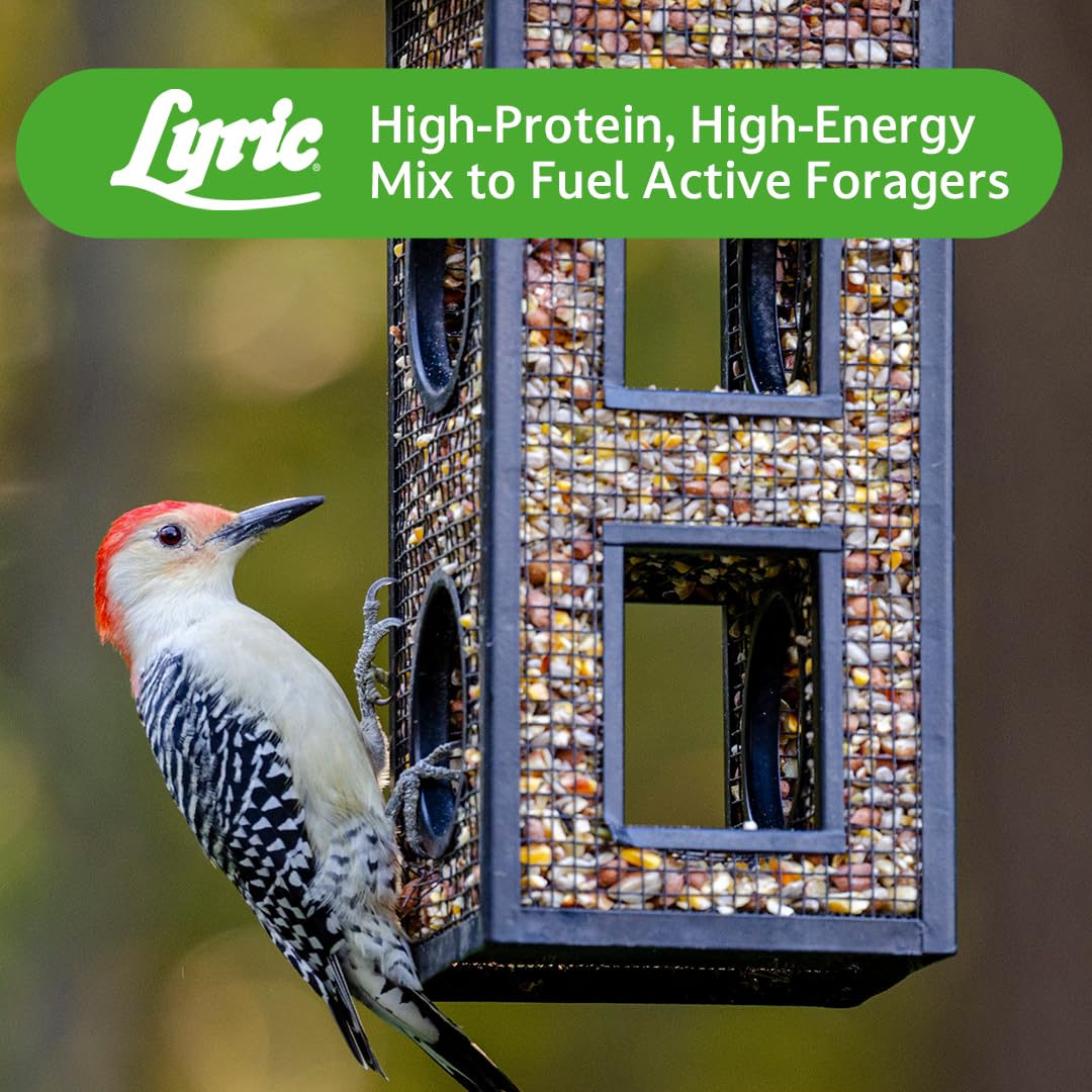 Lyric Woodpecker Mix provides protein-rich treats for busy winter foraging