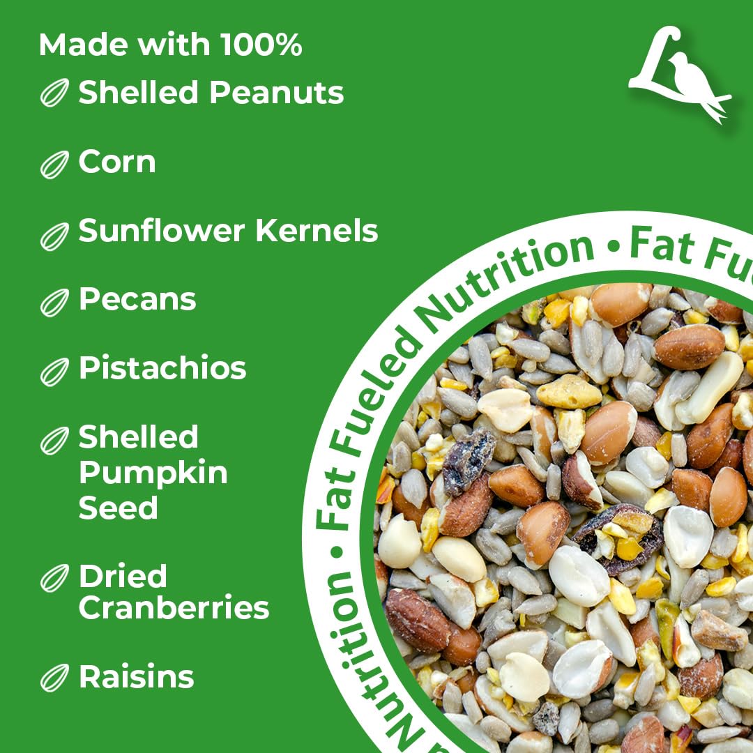 Lyric Woodpecker Mix in hopper feeder draws curious songbirds near trees