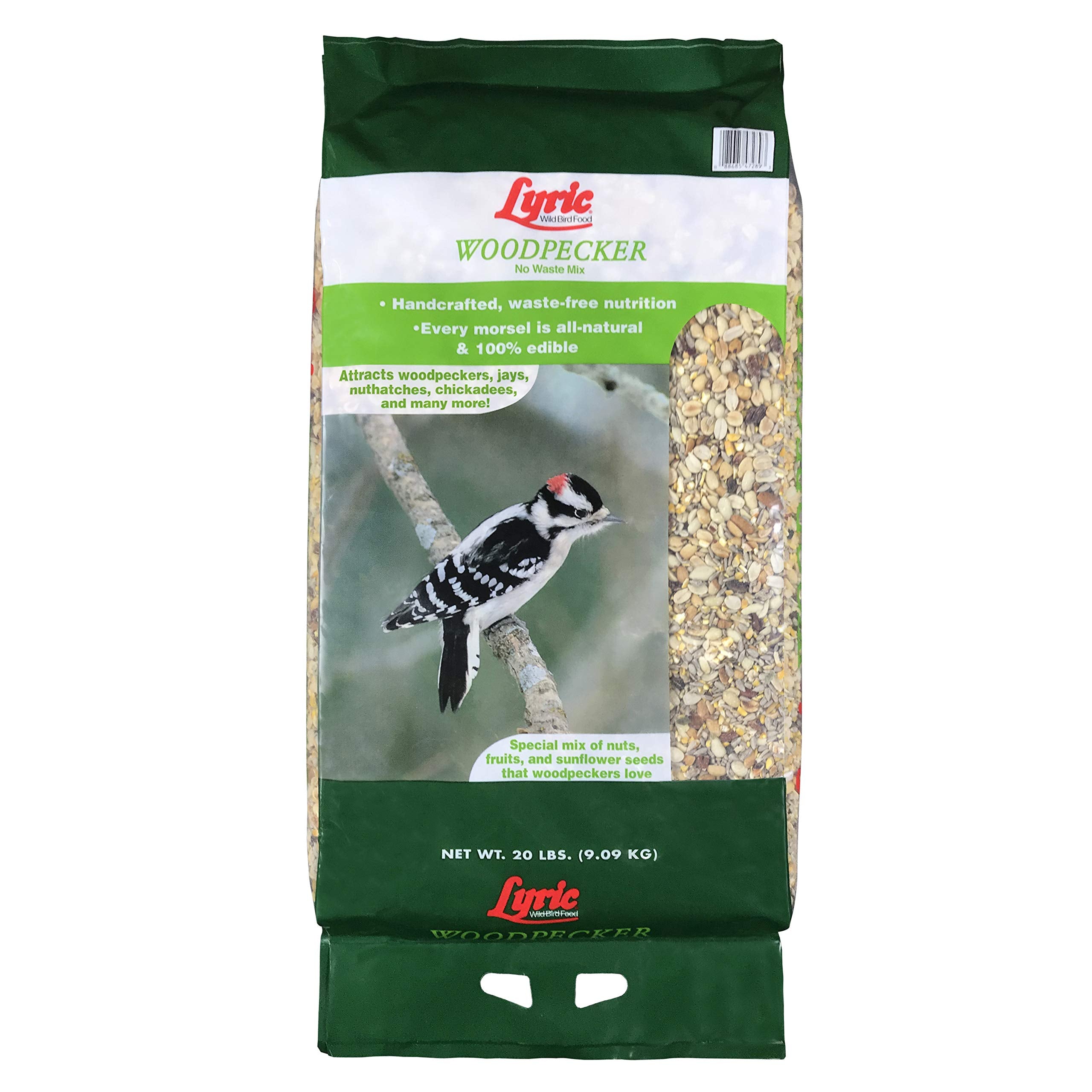 Lyric Woodpecker seed mix in an outdoor feeder attracts woodpeckers and songbirds