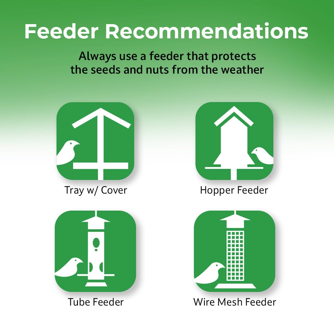 Lyric Woodpecker Mix supports year-round feeding in outdoor spaces