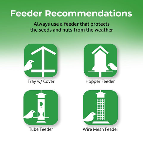 Lyric Woodpecker Mix supports year-round feeding in outdoor spaces