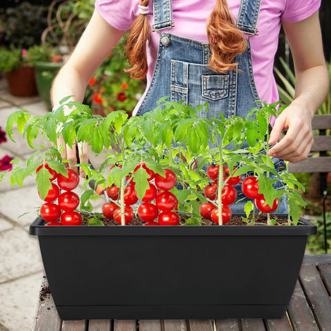 Lysjtsr window box tray set prevents soil spills on sills.