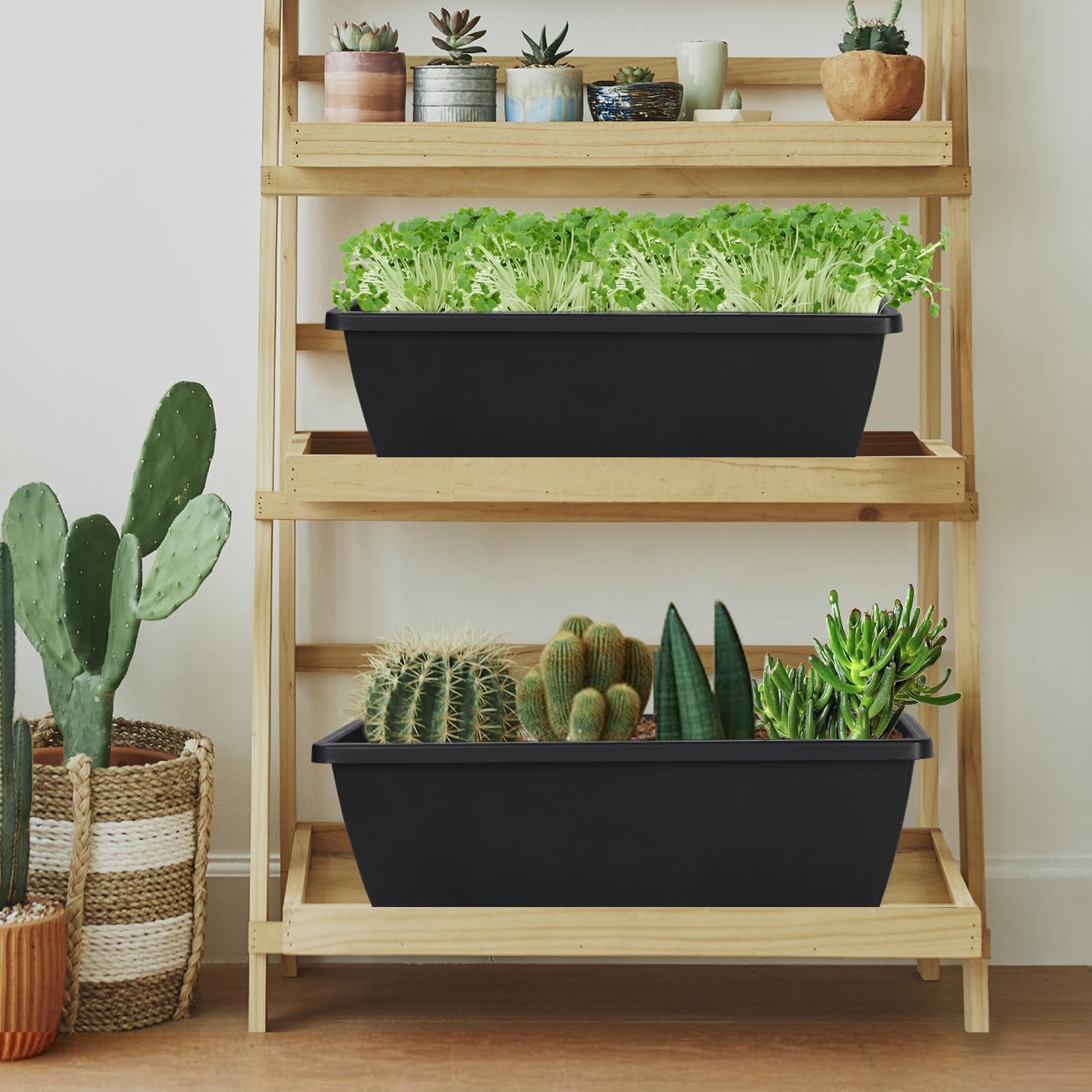 Lysjtsr 12-pack plant boxes ideal for windowsill gardens.