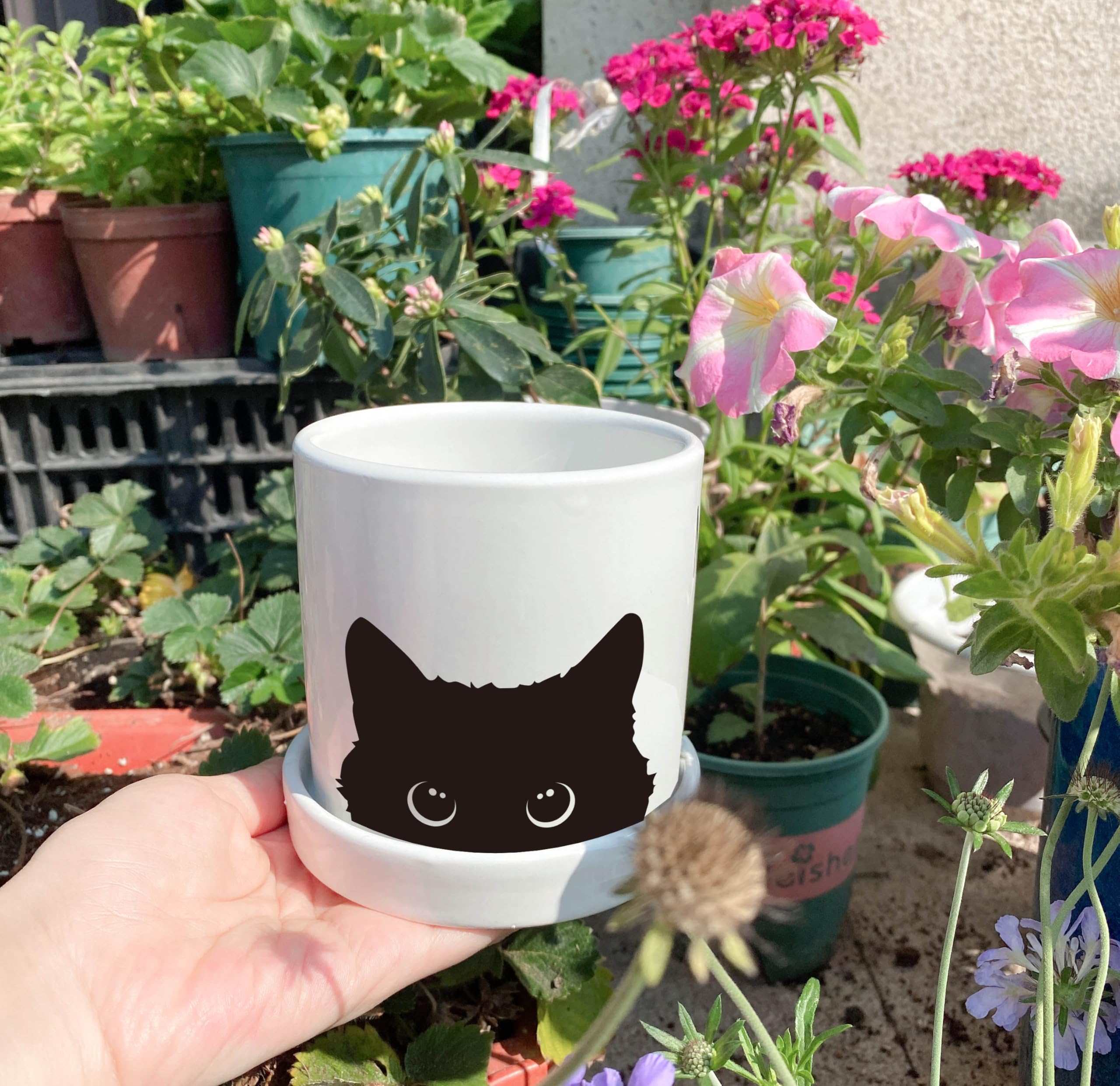 Lzracotz Cat Planter close-up showcases kiln-fired quotes for lasting charm.