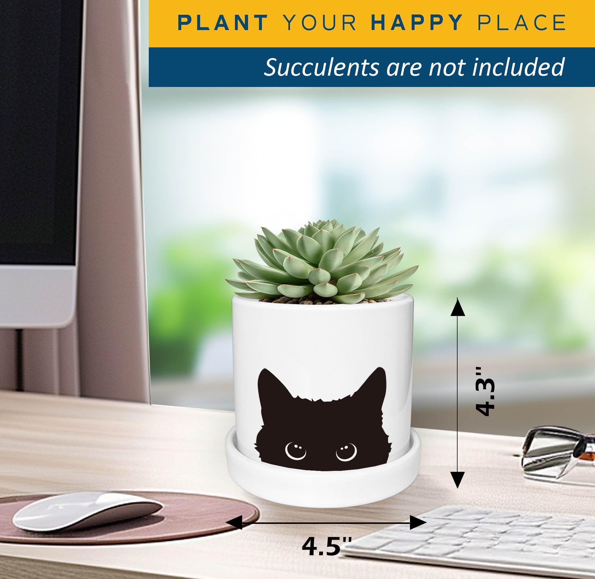 Lzracotz Ceramic Tray complements the cat planter for tidy plant care.