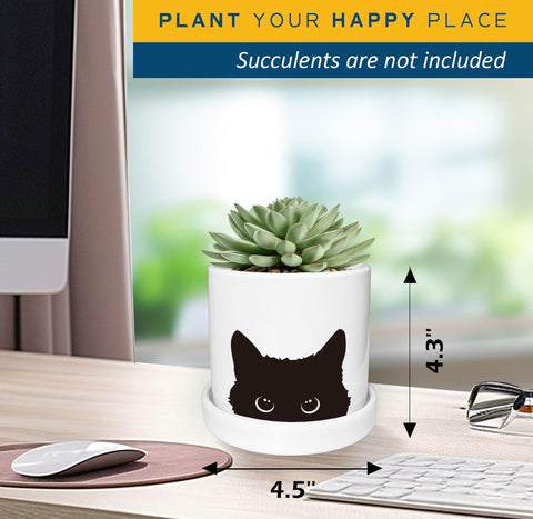 Lzracotz Ceramic Tray complements the cat planter for tidy plant care.