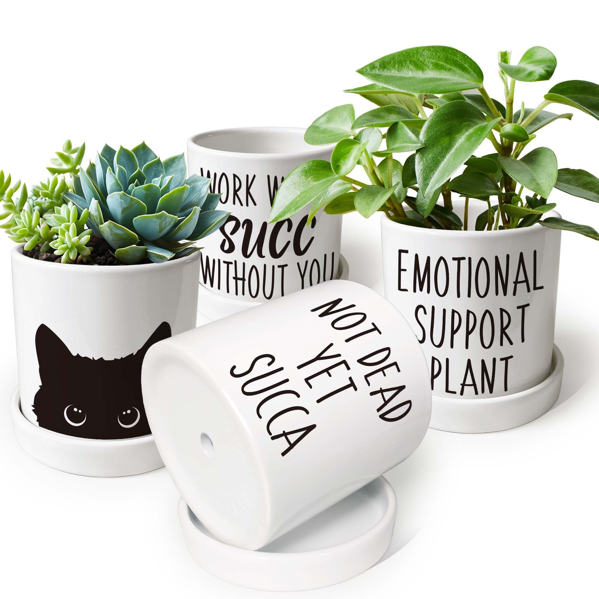 Lzracotz 4.3-inch succulent pot suits mini herbs and cacti.