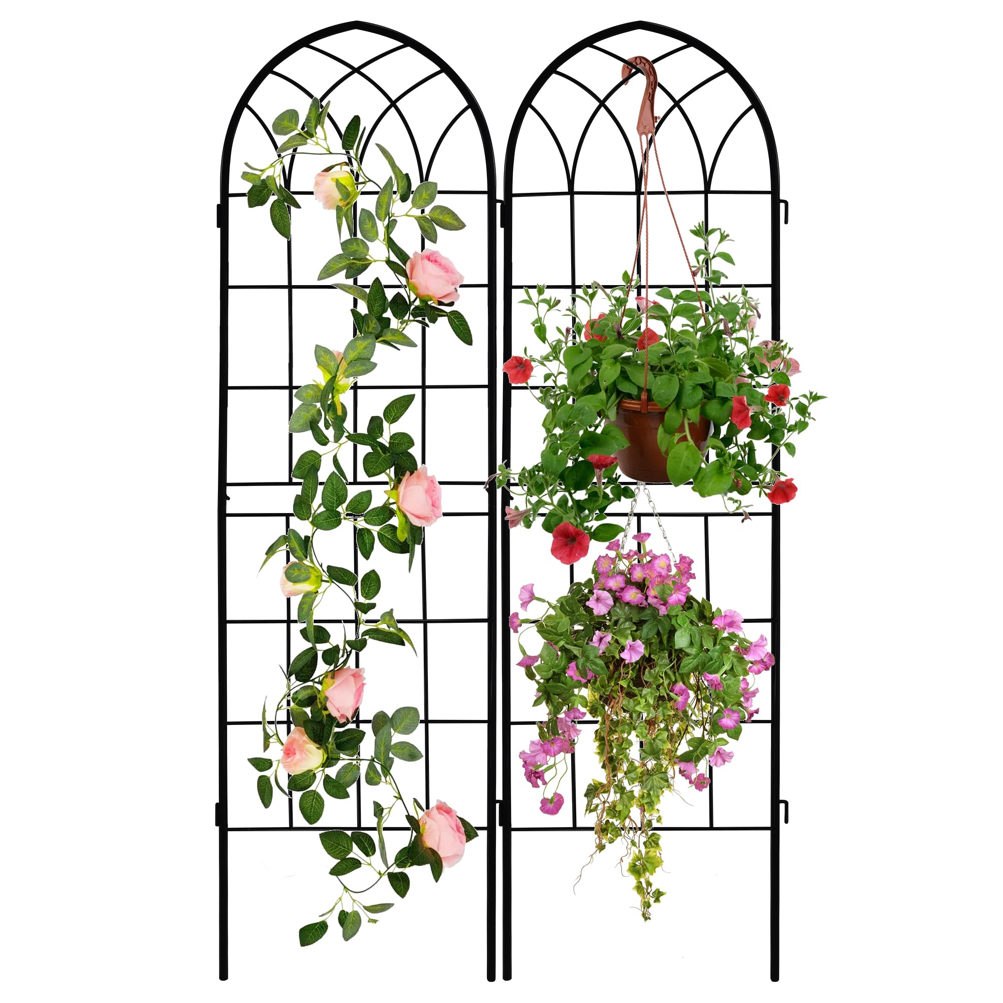 LZRS arch trellis two-pack supports climbing plants in outdoor gardens.