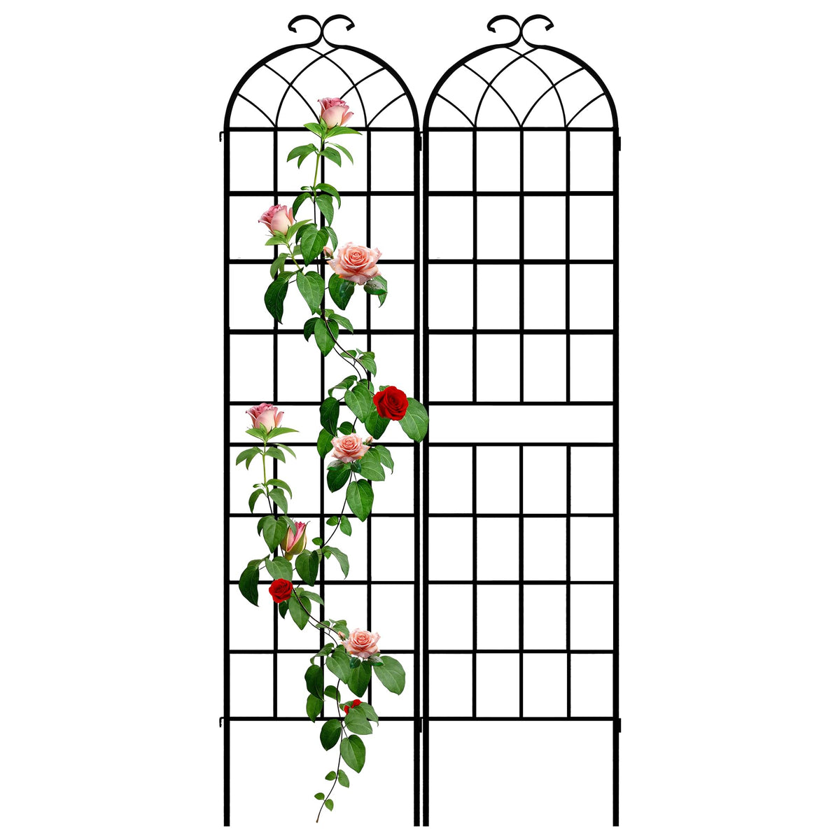 LZRS arch trellis in rustic iron provides sturdy support for climbing roses.