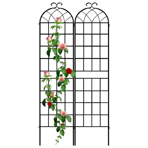 LZRS arch trellis in rustic iron provides sturdy support for climbing roses.