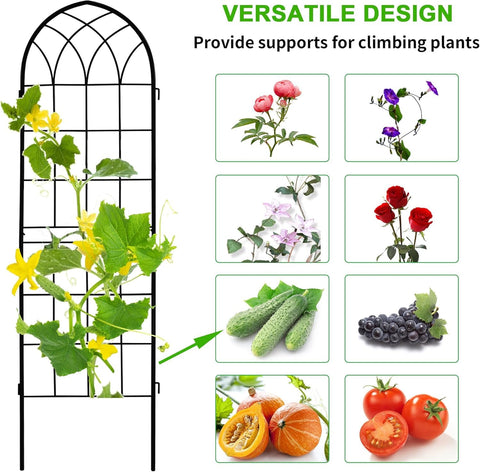 LZRS black powder-coated iron trellis resists weather for year-round use.