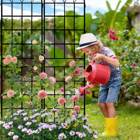 LZRS climbing-plants trellis ideal for vegetables and vines along borders.