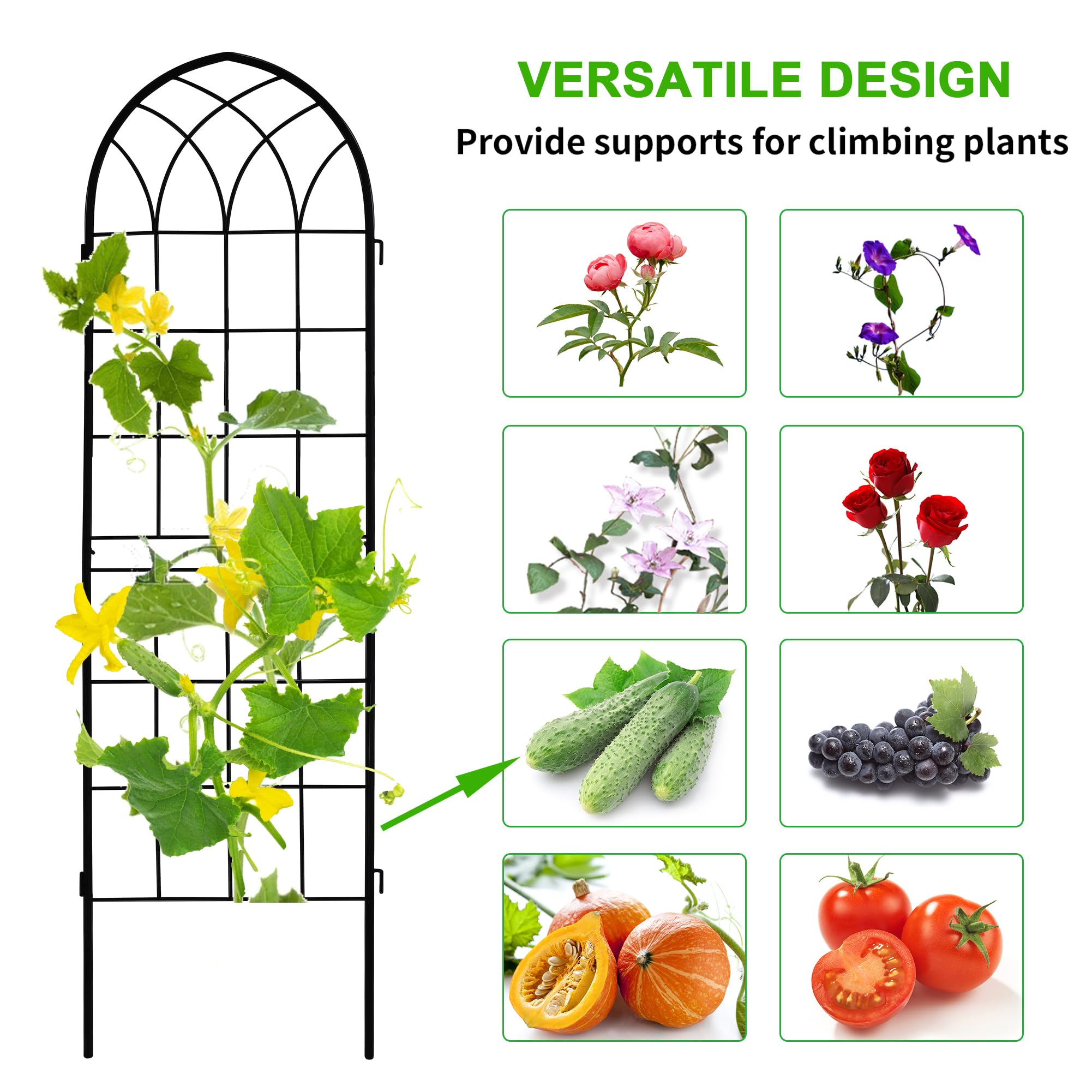 LZRS dual-panel arch-trellis adds height and space-saving structure.