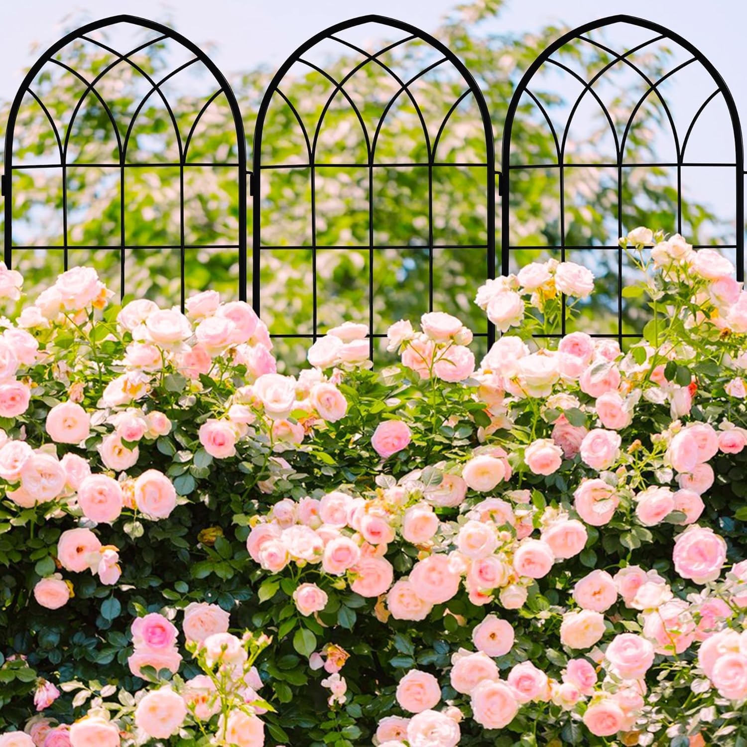 LZRS four-panel trellis provides stability for sprawling plants.