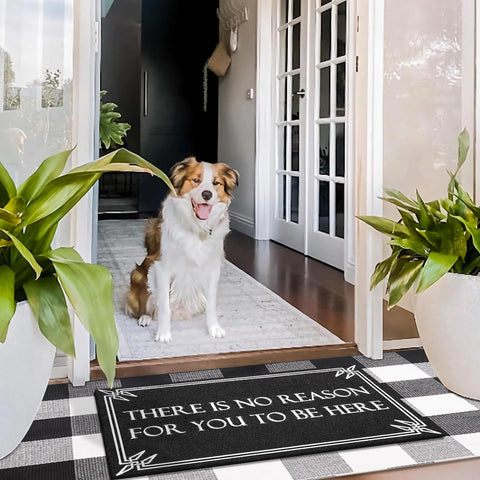 Lzuso door mat low-profile design glides under doors without catching.