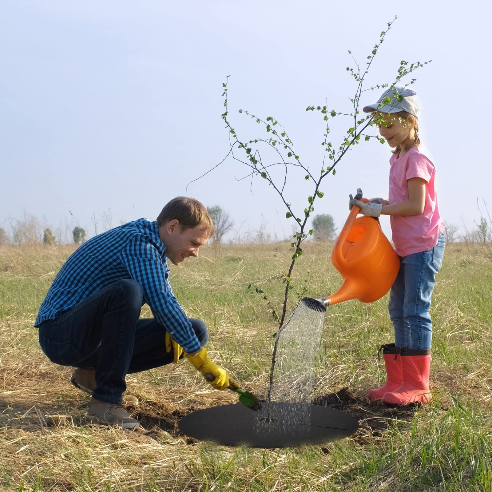 Macarrie landscaping tree ring helps prevent mower and animal damage.