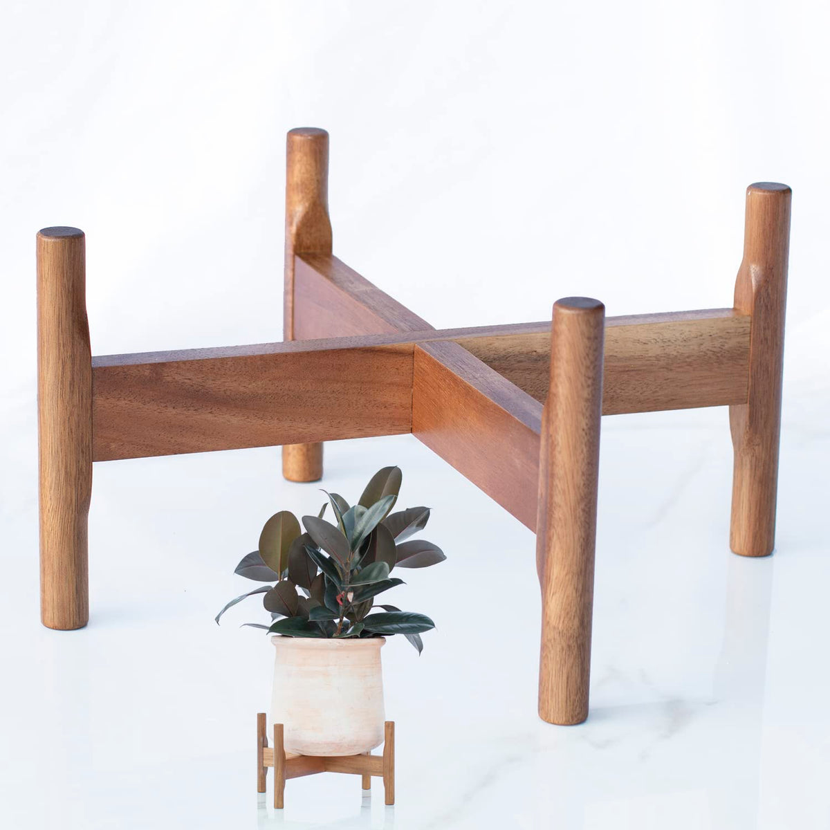 Macaw on Kapok acacia wood plant stand close-up grain highlights craftsmanship and durability.