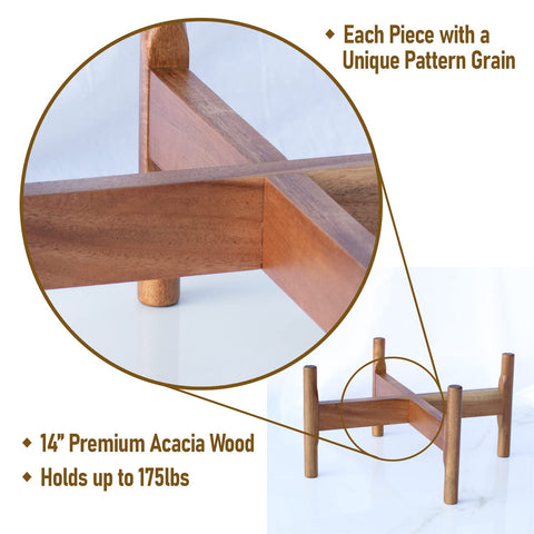 Macaw on Kapok indoor-outdoor placement supports versatile living spaces and greenery.
