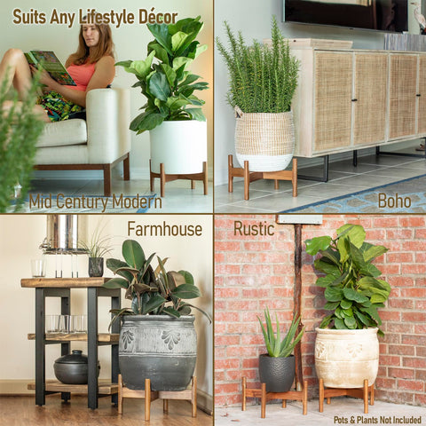 Macaw on Kapok plant stand fits 8–14 inch pots for flexible decorating.