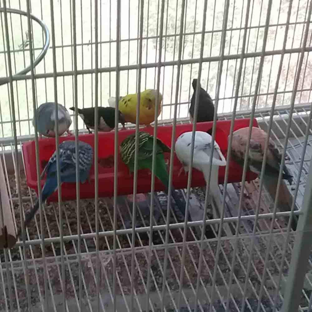MACGOAL Plastic red poultry feeder suitable for indoor or outdoor use