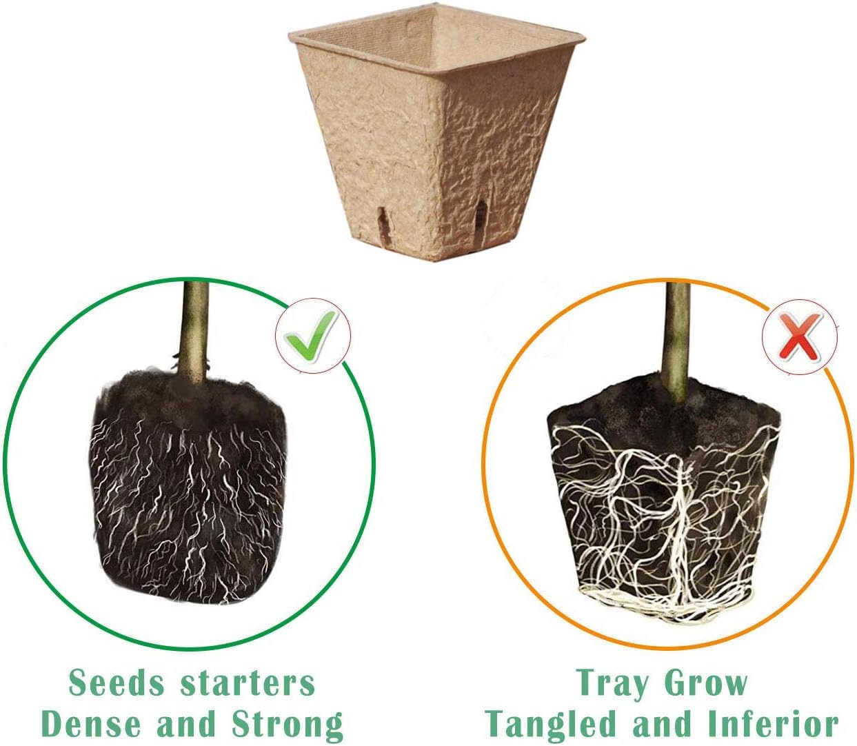 macoya seed starter kit humidity dome helps regulate humidity for uniform germination